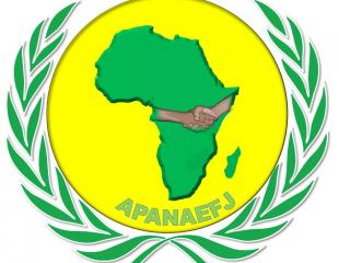 Quel avenir pour la Jeunesse Africaine ?